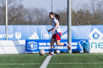 Bild 69 - F Hamburger SV 3 - Blau-Weiss 96 : Ergebnis: 5:1